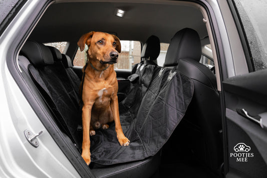 Hondendeken achterbank
